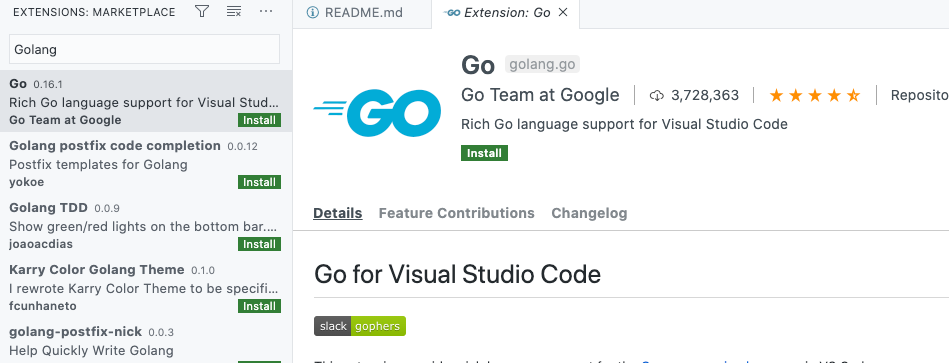 Go extensions in Codespaces