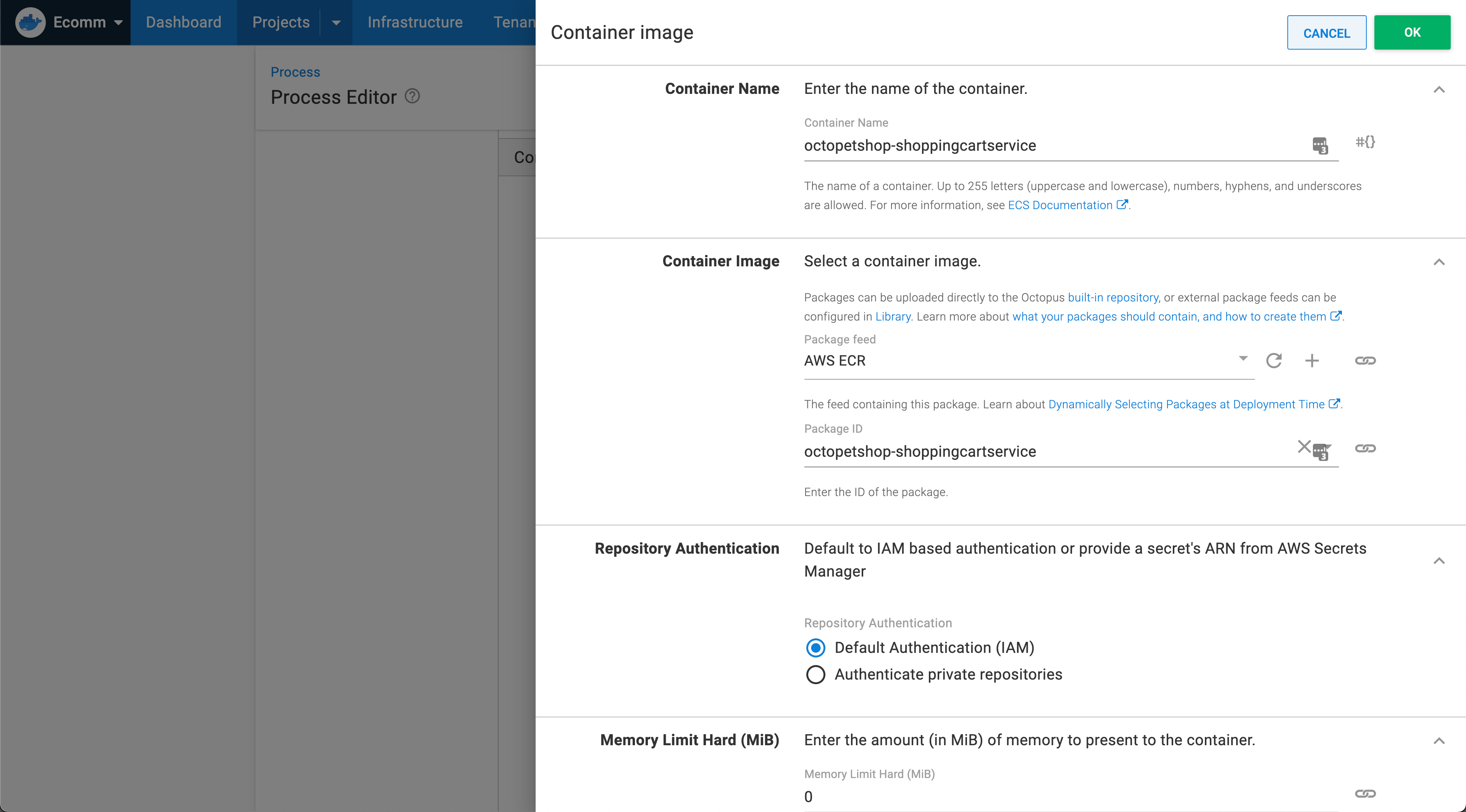 Amazon ECS deployment container configuration in Octopus Deploy